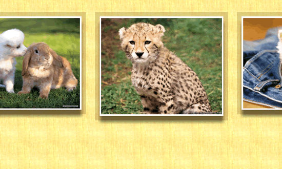 Cute little animal images for puzzles